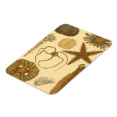 水中生物 マグネット (左側)