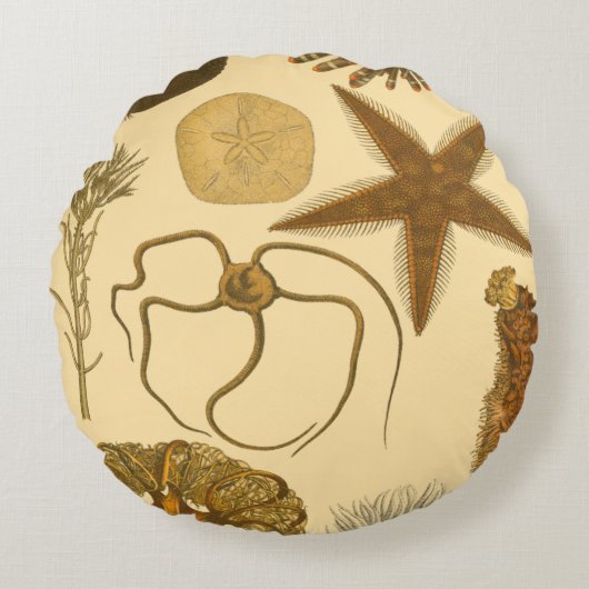 水中生物 ラウンドクッション (正面)