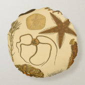 水中生物 ラウンドクッション (裏面)