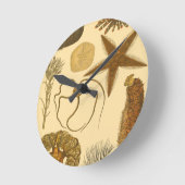 水中生物 ラウンド壁時計 (傾斜)