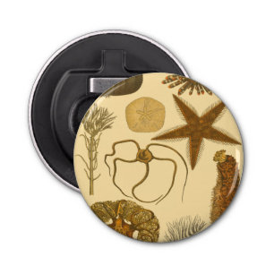 水中生物 栓抜き