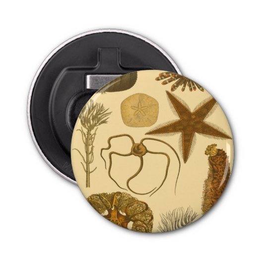 水中生物 栓抜き (正面)