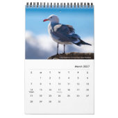 水中競技の鳥の南カリフォルニアのケリー・ナイン カレンダー (3月 2027)