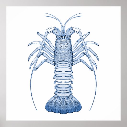 水中競技アート～ロブスター ポスター (正面)