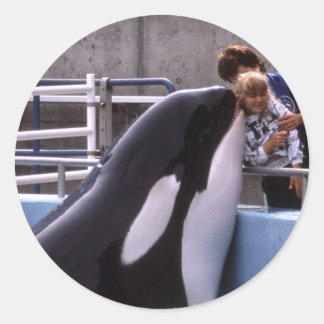 水中競技シール ラウンドシール