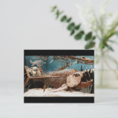 水中競技ディノハガキ ポストカード (スタンド正面)