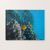 水中競技パズル航海の写真海魚パズル ジグソーパズル (横)