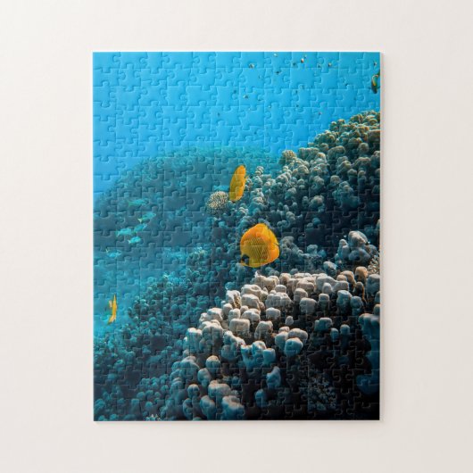 水中競技パズル航海の写真海魚パズル ジグソーパズル (縦)