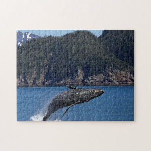 水中競技パズル航海の写真海魚パズル ジグソーパズル