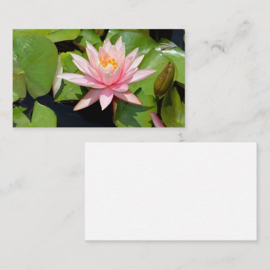 水中競技プラントの供給者 名刺 (正面/裏面)