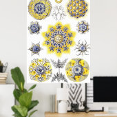 水中競技マクロライフ～ヘッケル～アメーバ ポスター (ホームオフィス)