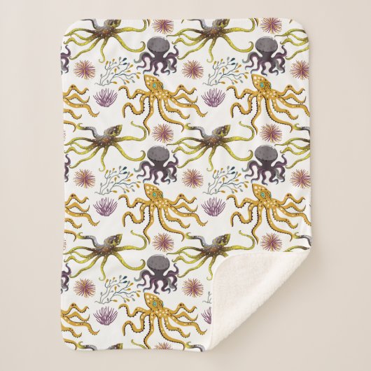 水中競技動物パターン |海水中ライフ26 シェルパブランケット (正面)