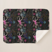 水中競技動物パターン |海水中ライフ28 シェルパブランケット (正面(横))