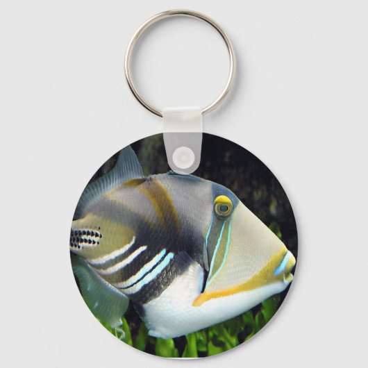 水中競技場が魚を引く キーホルダー (正面)