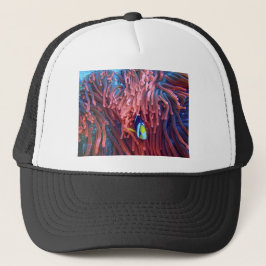 水中競技航海の写真海洋動物写真 キャップ