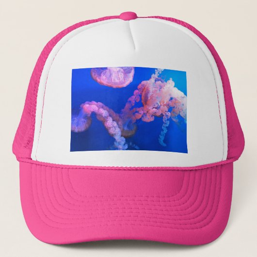 水中競技航海の写真海洋動物写真 キャップ (正面)