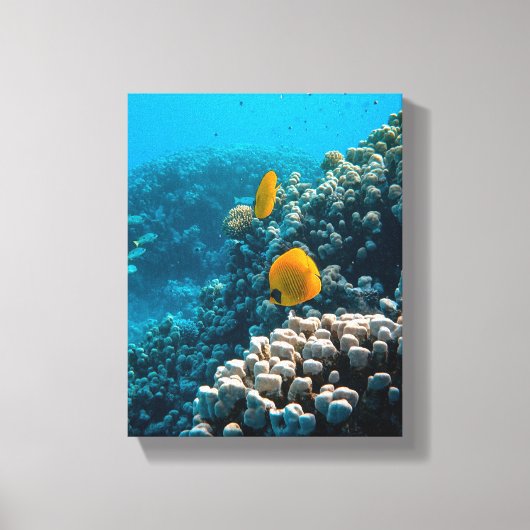 水中競技航海の写真海洋動物写真 キャンバスプリント (正面)