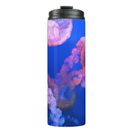 水中競技航海の写真海洋動物写真 タンブラー