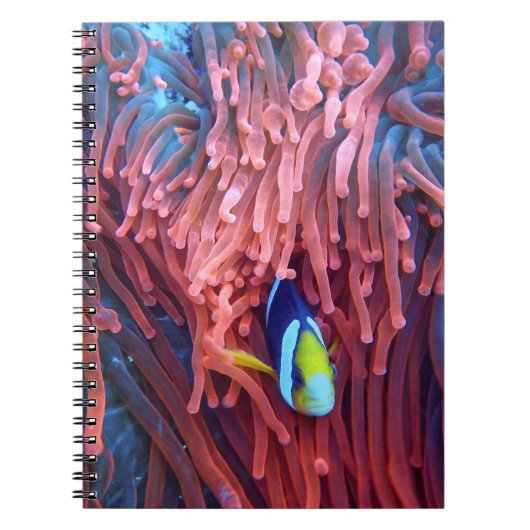水中競技航海の写真海洋動物写真 ノートブック (正面)