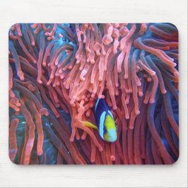 水中競技航海の写真海洋動物写真 マウスパッド