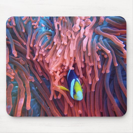 水中競技航海の写真海洋動物写真 マウスパッド (正面)