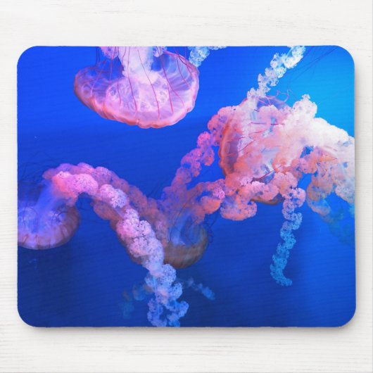 水中競技航海の写真海洋動物写真 マウスパッド (正面)