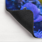 水中競技航海の写真海洋動物写真 マウスパッド (コーナー)