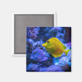 水中競技航海の写真海洋動物写真 マグネット (正面/裏面)