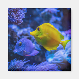 水中競技航海の写真海洋動物写真 マグネット