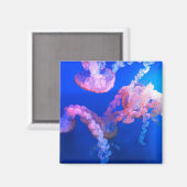 水中競技航海の写真海洋動物写真 マグネット (正面/裏面)