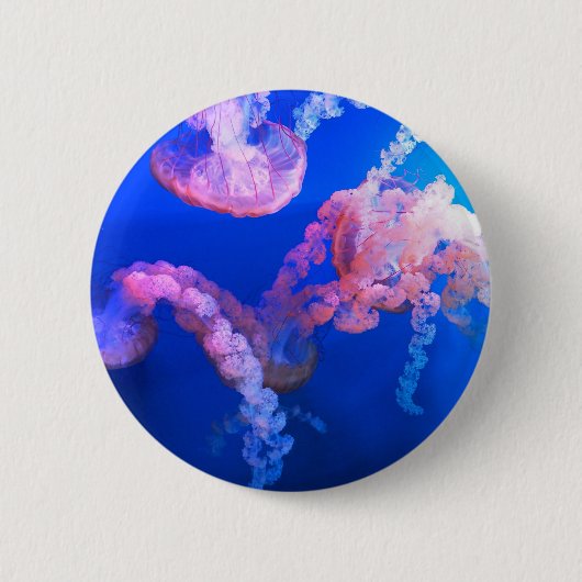 水中競技航海の写真海洋動物写真 缶バッジ (正面)