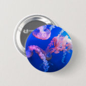 水中競技航海の写真海洋動物写真 缶バッジ (正面&裏面)