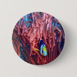 水中競技航海の写真海洋動物写真 缶バッジ