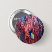 水中競技航海の写真海洋動物写真 缶バッジ (正面&裏面)