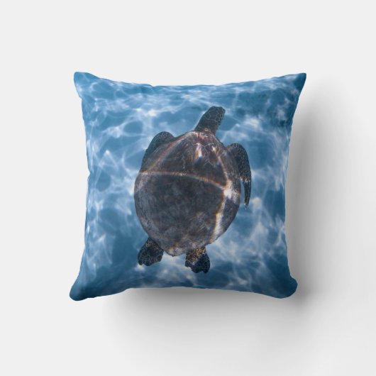 水中競技 クッション (裏面)