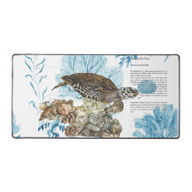 水中絵を描手ウミガメ
