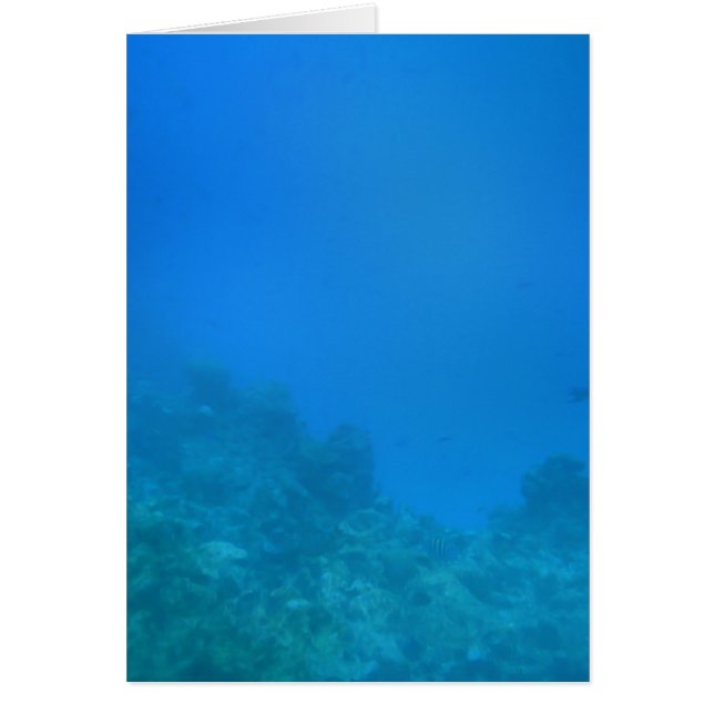 水中背景シーン (正面)