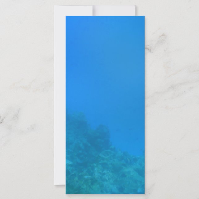 水中背景シーン (正面)