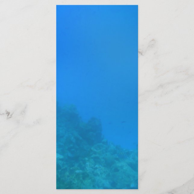 水中背景シーン (正面)