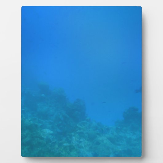 水中背景シーン フォトプラーク (正面)