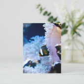 水中背景 ポストカード (スタンド正面)