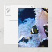 水中背景 ポストカード (正面/裏面)