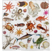 水中航海の海生活イラストレーション模様 シャワーカーテン (正面)