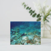 水中表示はがき ポストカード (スタンド正面)