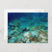 水中表示はがき ポストカード (正面/裏面)