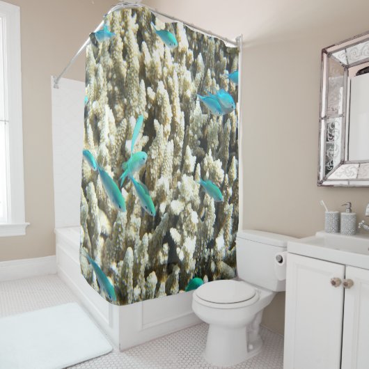 水中青魚とサンゴ シャワーカーテン (インサイチュ)