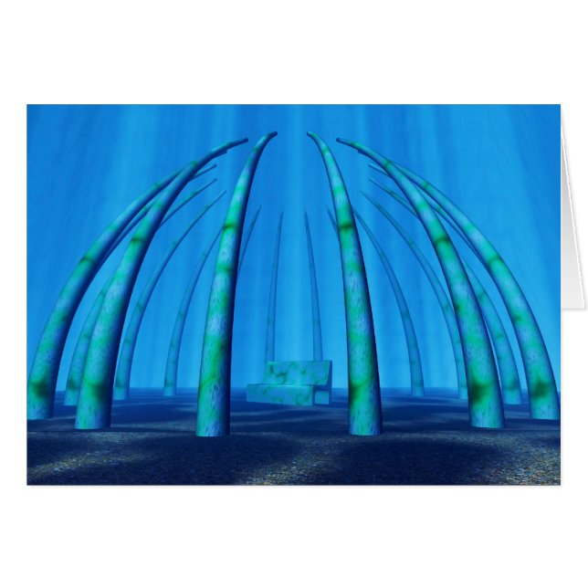 水中静止場 (正面横)