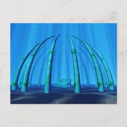 水中静止場 ポストカード (正面)