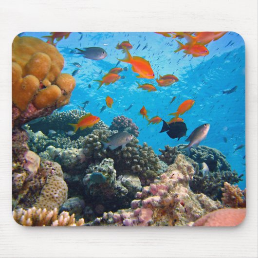 水中魚とサンゴの風景 マウスパッド (正面)