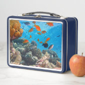水中魚とサンゴの風景 メタルランチボックス (インサイチュ)